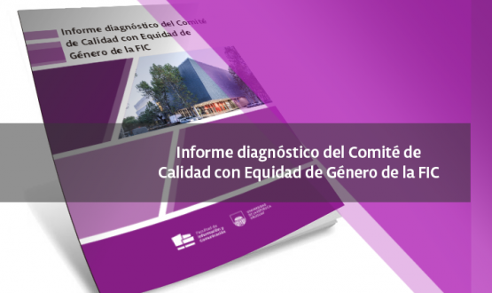 imagen - informe diagnóstico del Comité de Calidad con Equidad de Género